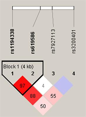 Combined Impacts of Genetic Variants of Long Non-Coding RNA MALAT1 and the Environmental Carcinogen on the Susceptibility to and Progression of Oral Squamous Cell Carcinoma